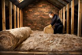 Best Crawl Space Insulation  in La Crescent, MN